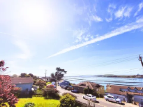 Cozy Studio Cottage with Harbor View/Spacious Full Kitchen & Pet Friendly