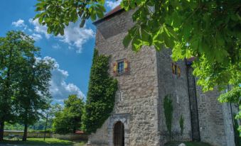 Rooms & Apartments Podsreda Castle