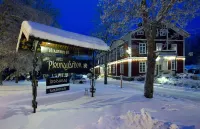 호텔 플레브나고르덴  호텔