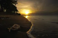 Rinjani Beach Eco Resort - Beach
