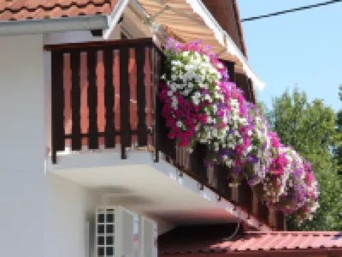 House Marija B&B Hotels in Rakovica