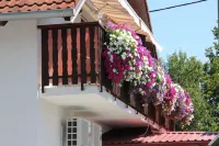 House Marija B&B Hotels in Selište Drežničko