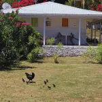 Hotel le Soleil Levant Hotels in 