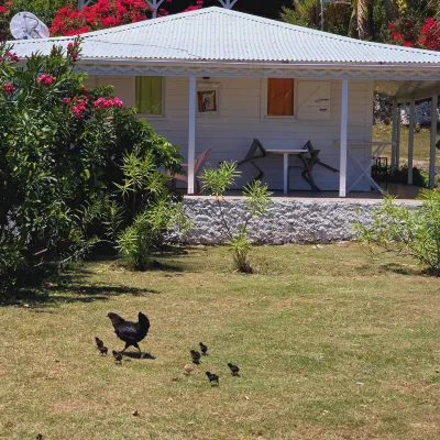 Hotel le Soleil Levant Hotels in 