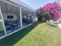 Grandma's Garden
