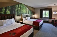Great Wolf Lodge Atlanta / LaGrange, GA