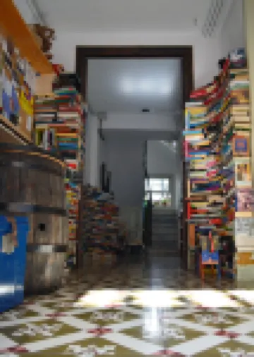 Ratones de Biblioteca