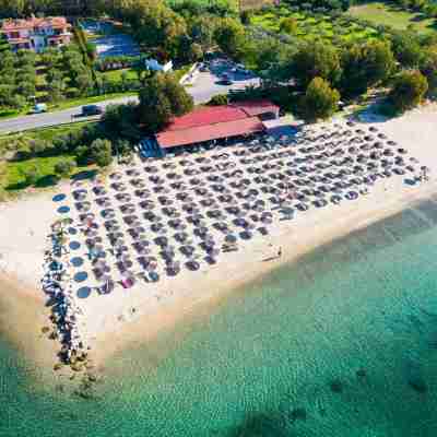 Alexandros Palace Hotel Exterior