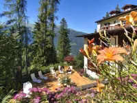 Caminetto - Green Hotel in Folgarida
