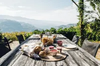 Quinta de Guimarães Hotels in Baiao