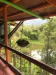 Ecocabañas Pereira - Mountain view