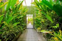 Papillon Echo Beach Các khách sạn gần Echo Beach