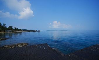 Kiwuki Beachfront Villa