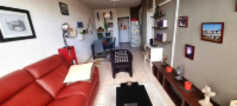 擁有壯麗景色的時尚日內瓦公寓