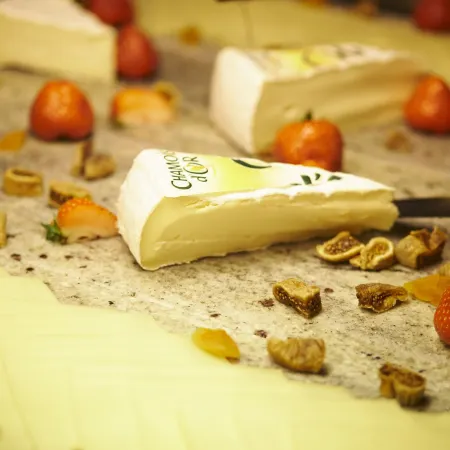 voco Gent by IHG