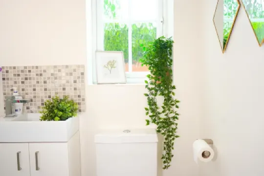 Irving House Hotels near Solihull