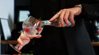 Bourne Hall Country Hotel - bar
