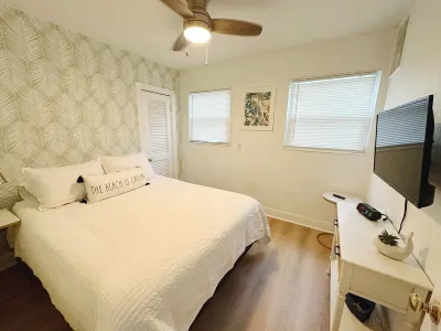 The blue jays nest; a  3-bedroom house with WiFi, AC in marvelous Dunedin