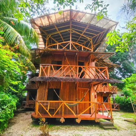 Don Jon's Surf and Yoga Lodge