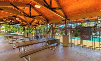 Dasha's Snowboard Track - Icicle Village