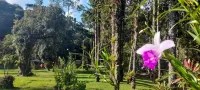 Pousada Bosque do Visconde Hotels in Visconde De Maua