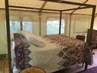 Full Site Woodland Glamping Rental near 3 of NY's Finger Lakes for 14+