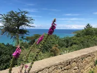 House "La Terrasse de Sophie" sea view in Plougasnou in Finistère