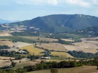 Casa Collinetta, charming, newly renovated country house in the Marche