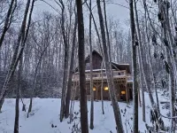 Cozy Cabin in the Blue Ridge Mountains