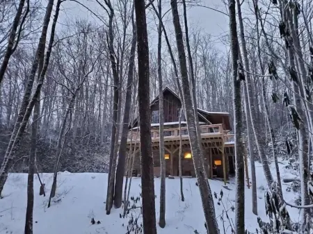 Cozy Cabin in the Blue Ridge Mountains