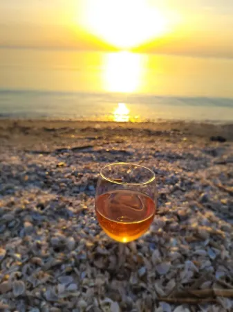 MoreView Kopice directly on the Szczecin Lagoon Отели в г. Степница