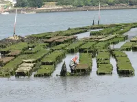 Golfe du Morbihan Gite Classe  - 5/6 Persons