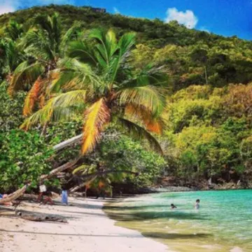 Walk to world famous Maho Bay! Privacy, views, pool, 4 equal king size bedrooms.