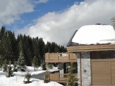 Ski on your feet. On Bellecôte, height of the Alpine Garden. Couffe 1850