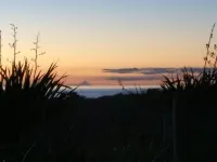 Magical Beach Kiwi Bach Hotels in Waitārere