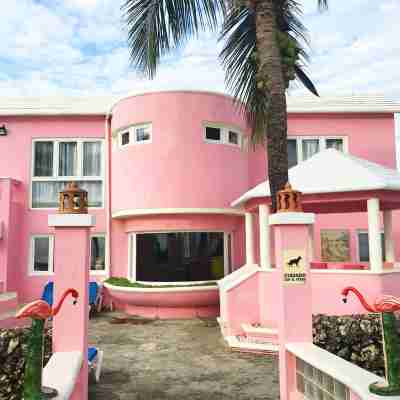 Villa Flamingo; Sleeps 8; Waterfall, Oceanfront Pool, Hot Tub Hotel Exterior