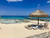 Luxurious Beachfront Retreat in Cozumel - Your Ultimate 4 Bdrm vacation haven!
