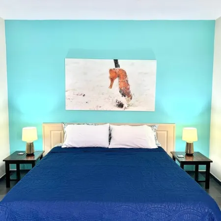 Bonaire Breezes Studio
