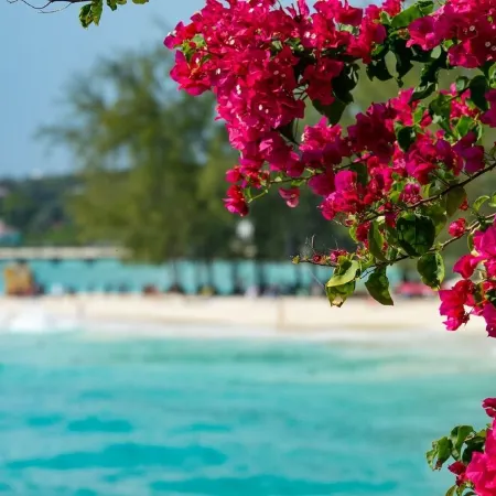Hidden Gem- Charming Winter Escape to Island Life!