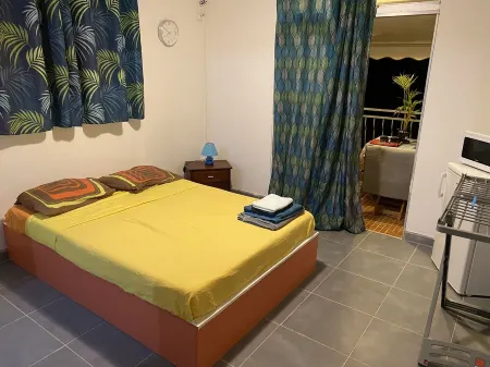 Pleasant studio with sea view