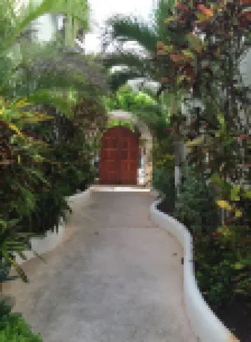 Quiet and serene ocean front 2-bedroom 2-bathroom condo, steps from the sand!