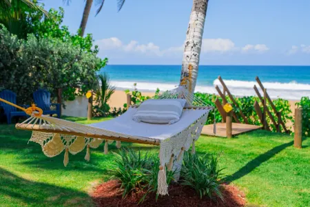 Blue Nest at the Beach