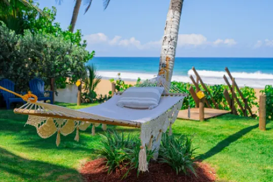 Blue Nest at the Beach