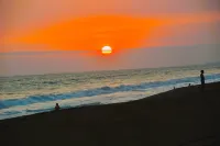 Ocean access waterfront home with TIKI Ranch and Pool. Pet friendly!