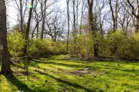 Creekside Getaway - Close to DT & Lake