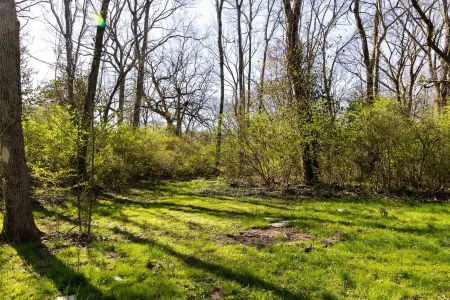 Creekside Getaway - Close to DT & Lake