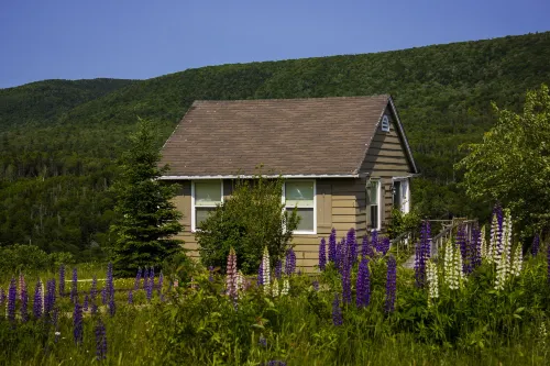 Chanterelle Country Inn & Cottages - 3-Star