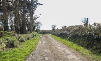 Curragh Cottage