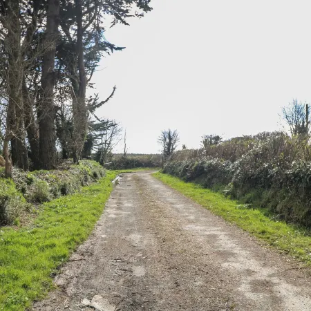 Curragh Cottage