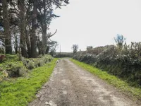Curragh Cottage Hotels in Arthurstown